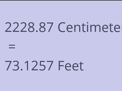 2228.87 CM TO FEET