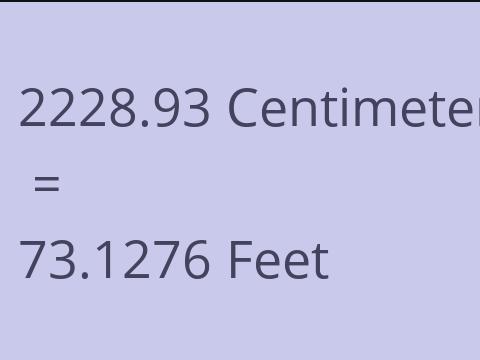 2228.93 CM TO FEET