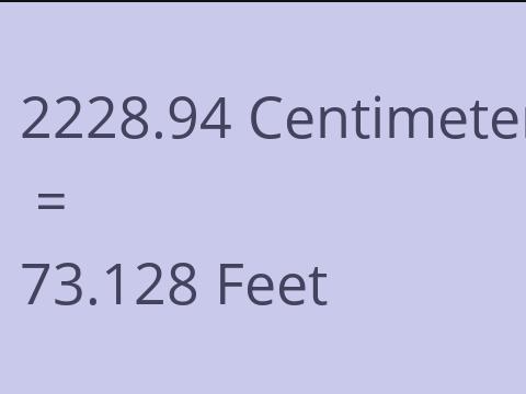 2228.94 CM TO FEET