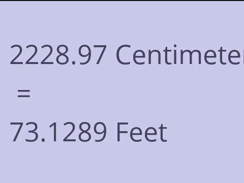 2228.97 CM TO FEET