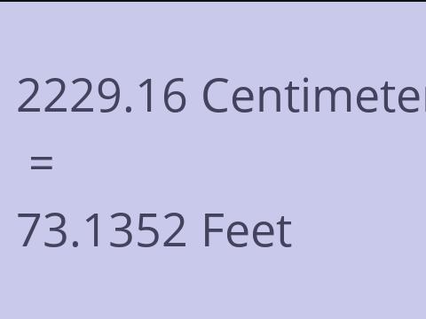 2229.16 CM TO FEET