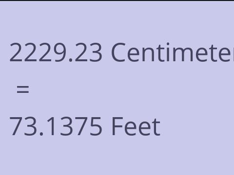 2229.23 CM TO FEET
