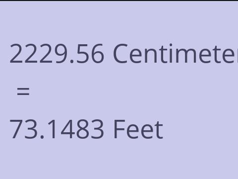 2229.56 CM TO FEET