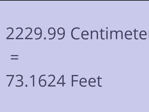 2229.99 CM TO FEET