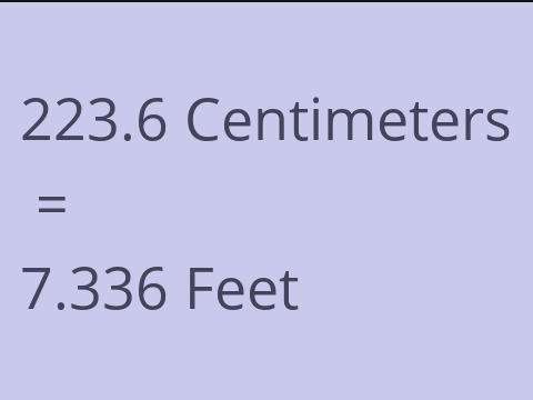 223.6 CM TO FEET