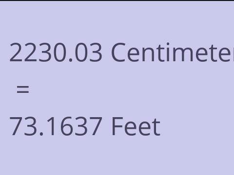2230.03 CM TO FEET