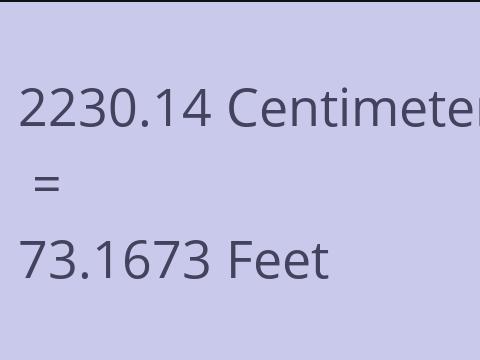 2230.14 CM TO FEET