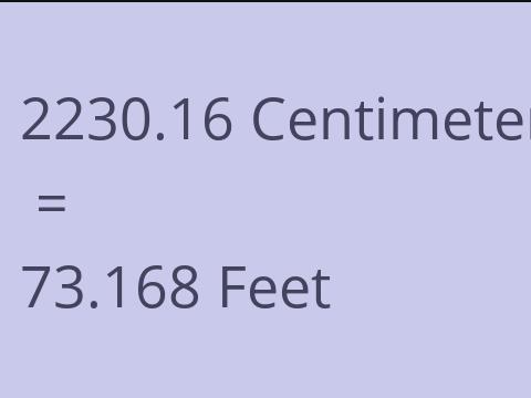 2230.16 CM TO FEET