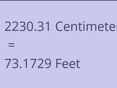 2230.31 CM TO FEET