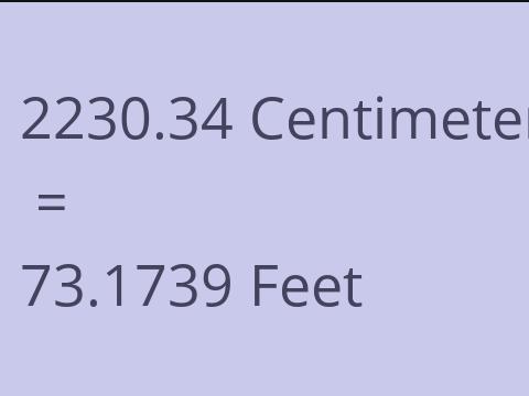 2230.34 CM TO FEET