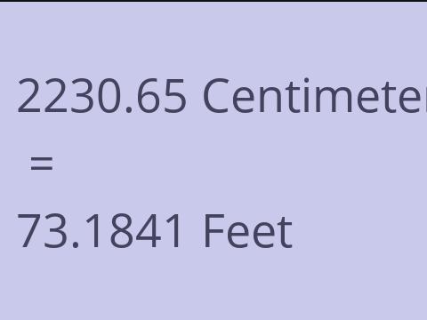 2230.65 CM TO FEET