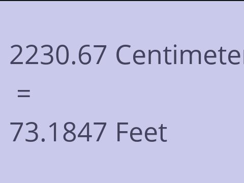 2230.67 CM TO FEET