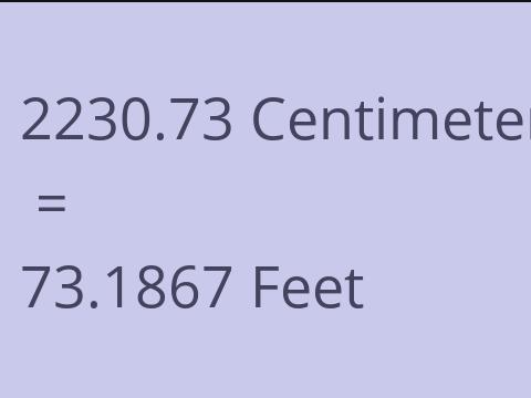 2230.73 CM TO FEET