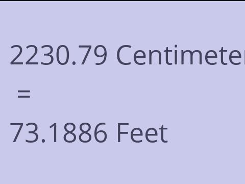 2230.79 CM TO FEET