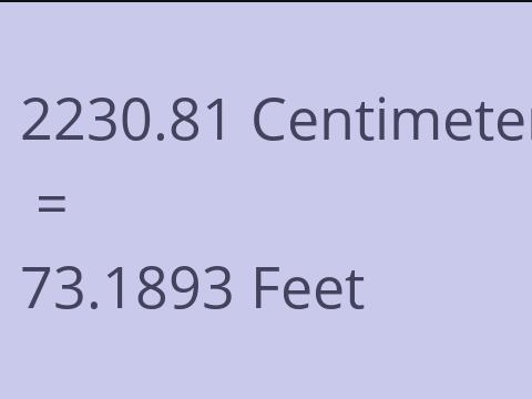 2230.81 CM TO FEET