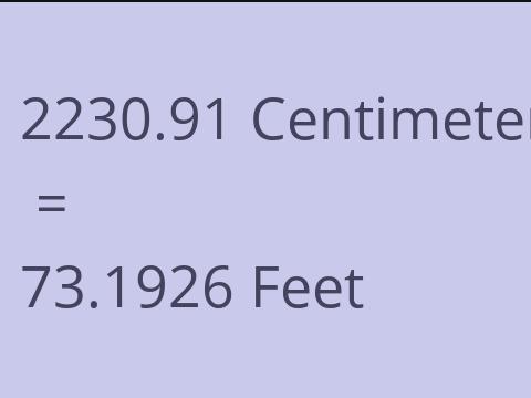 2230.91 CM TO FEET