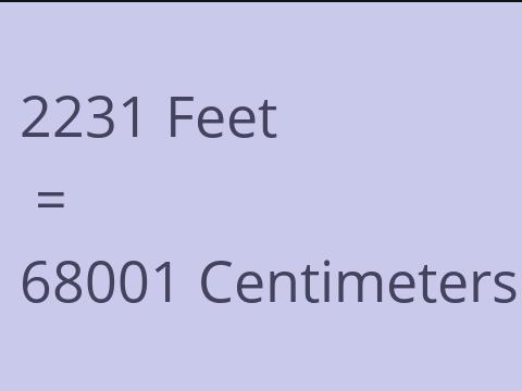 2231 FEET TO CM