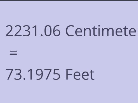 2231.06 CM TO FEET