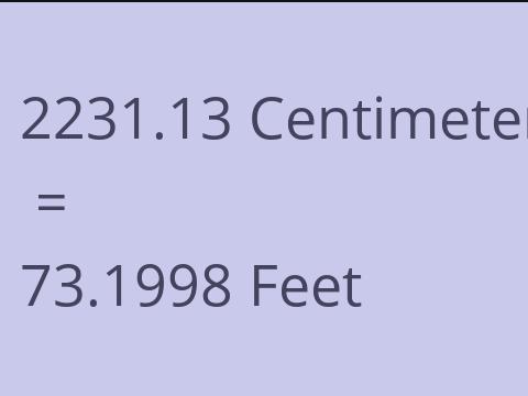 2231.13 CM TO FEET