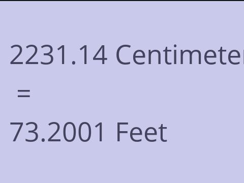 2231.14 CM TO FEET