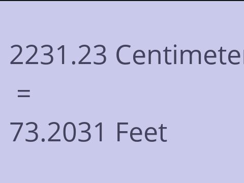 2231.23 CM TO FEET