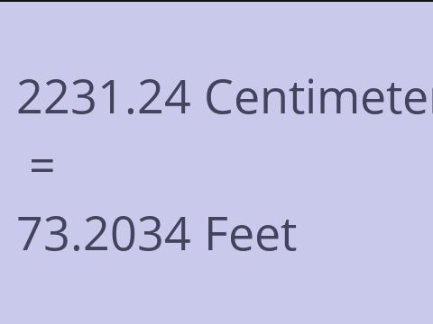 2231.24 CM TO FEET