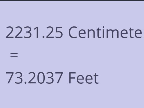 2231.25 CM TO FEET