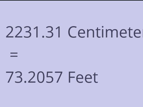 2231.31 CM TO FEET