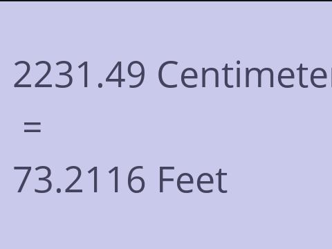 2231.49 CM TO FEET