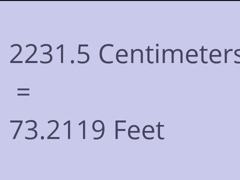 2231.5 CM TO FEET