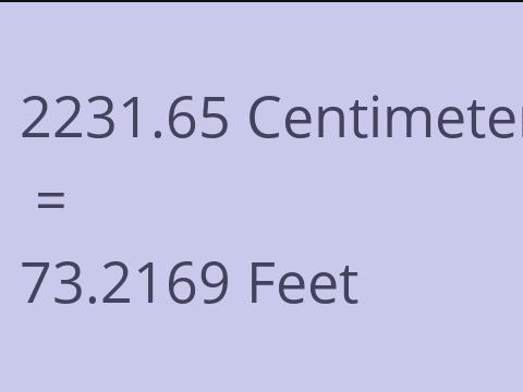 2231.65 CM TO FEET