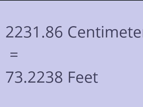 2231.86 CM TO FEET