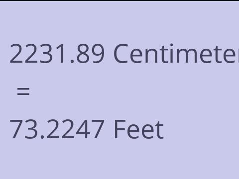 2231.89 CM TO FEET