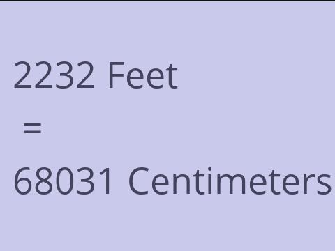 2232 FEET TO CM