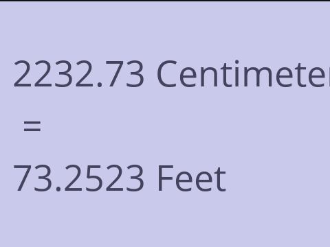 2232.73 CM TO FEET