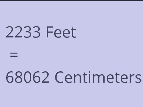 2233 FEET TO CM