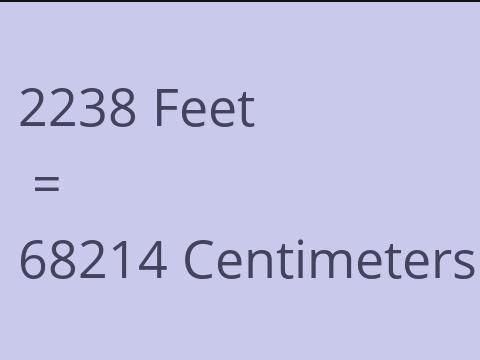 2238 FEET TO CM