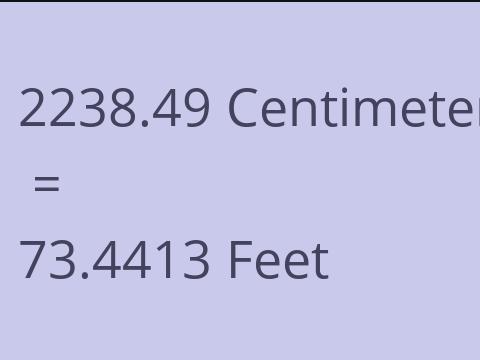 2238.49 CM TO FEET