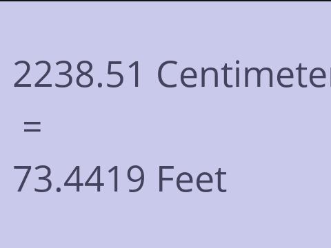 2238.51 CM TO FEET