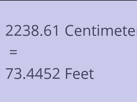 2238.61 CM TO FEET