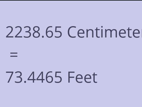 2238.65 CM TO FEET