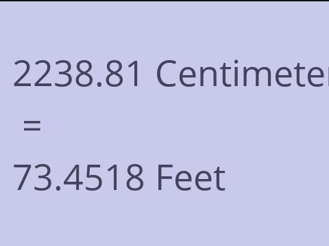 2238.81 CM TO FEET