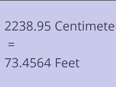 2238.95 CM TO FEET