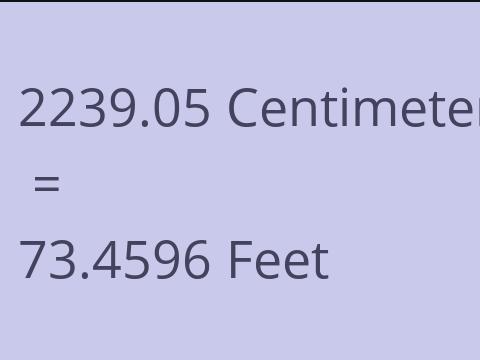 2239.05 CM TO FEET