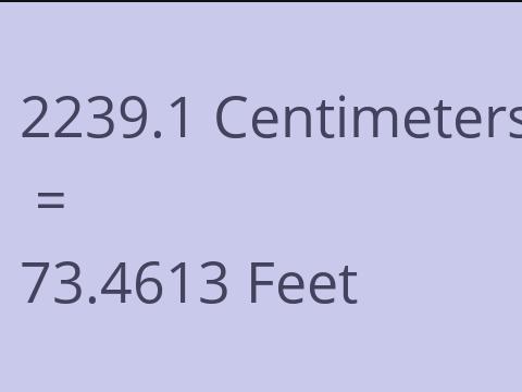 2239.1 CM TO FEET