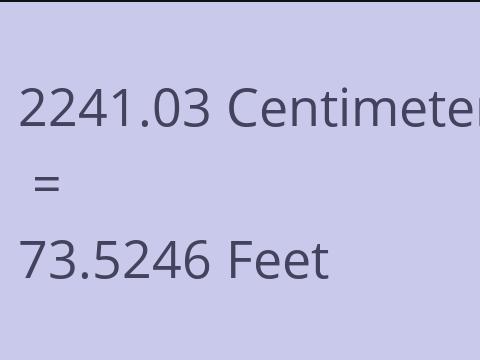 2241.03 CM TO FEET