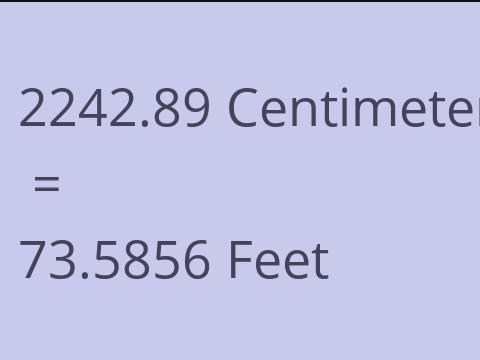 2242.89 CM TO FEET