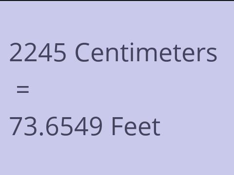 2245 CM TO FEET