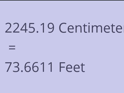 2245.19 CM TO FEET