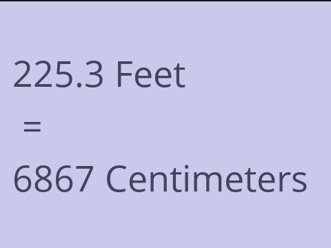 225.3 FEET TO CM